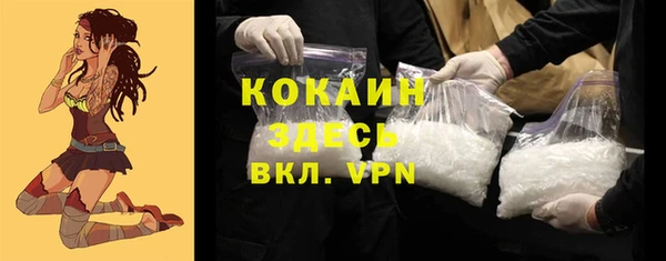 таблы Ельня