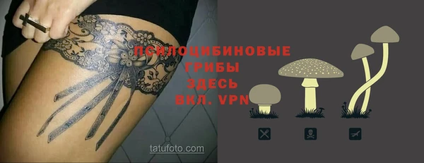 таблы Ельня