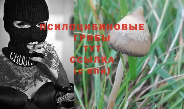 mdma Елизово
