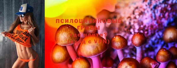 таблы Ельня