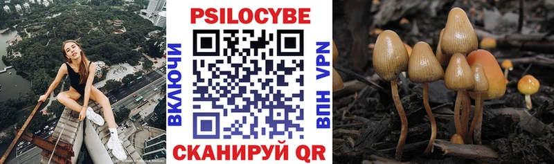Галлюциногенные грибы GOLDEN TEACHER  Купить где  Трёхгорный 